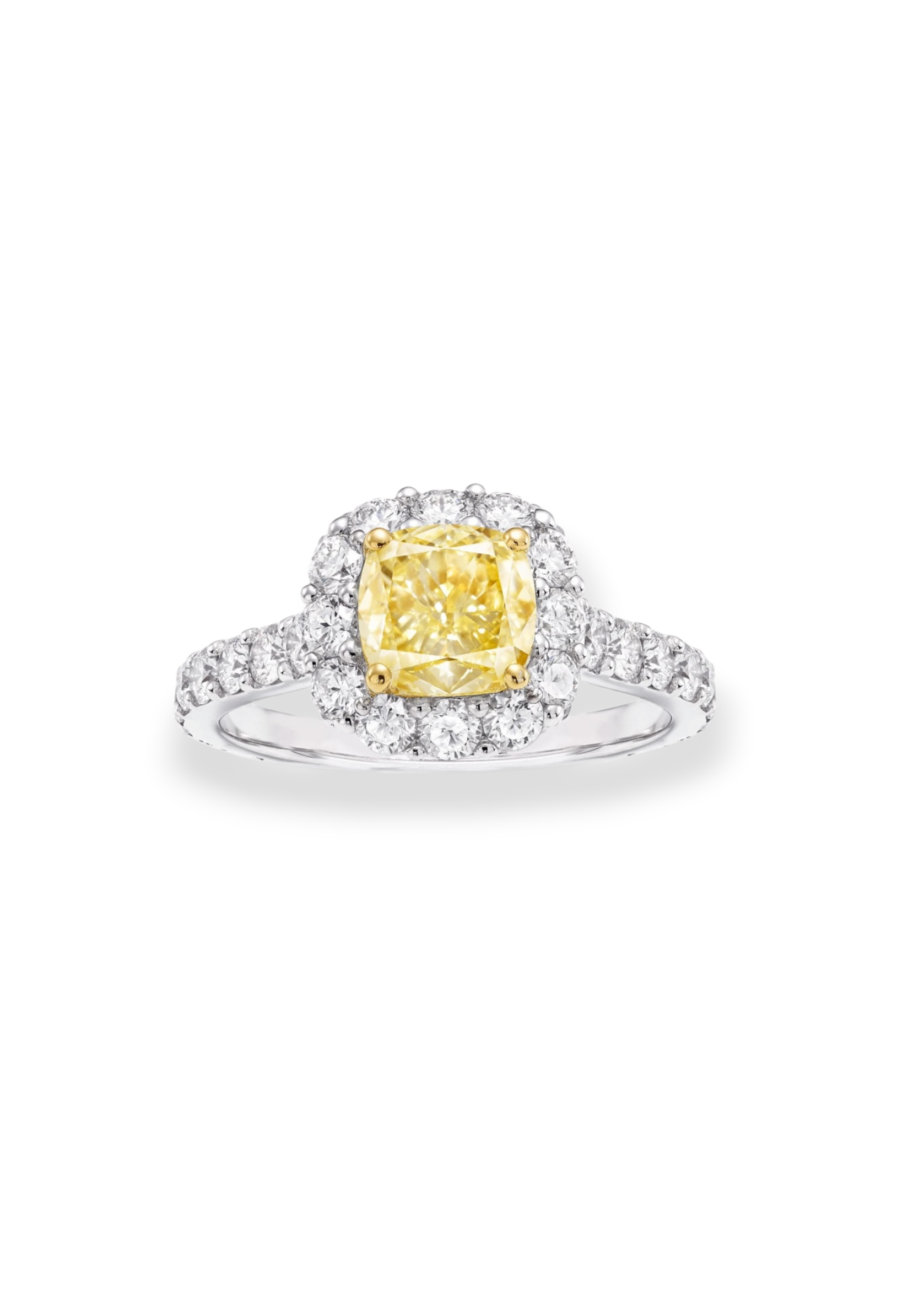 The Solari Halo ring