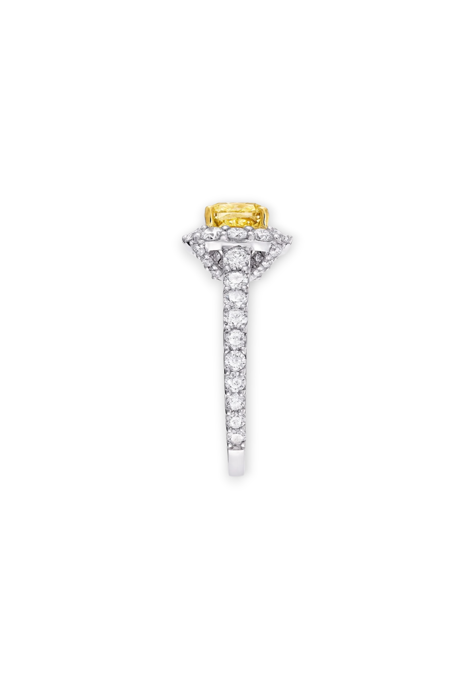 The Solari Halo ring