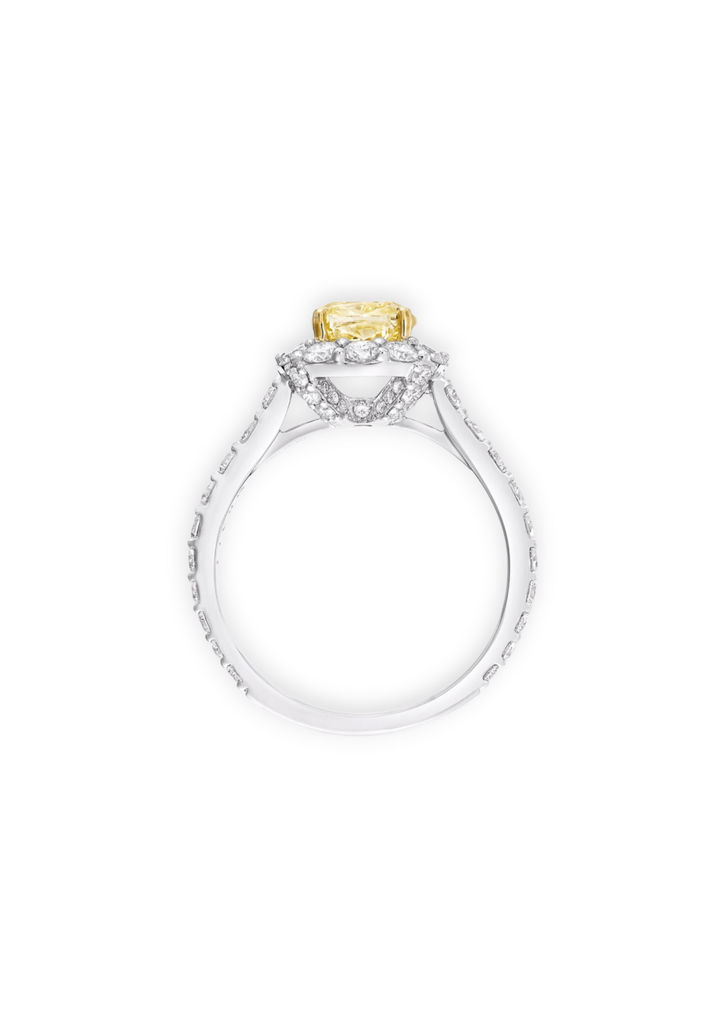 The Solari Halo ring