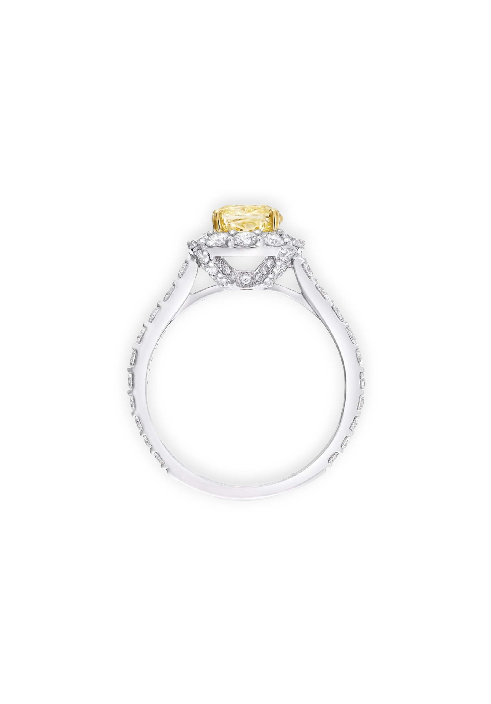 The Solari Halo ring
