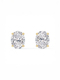 Oval Solitaire Stud earrings